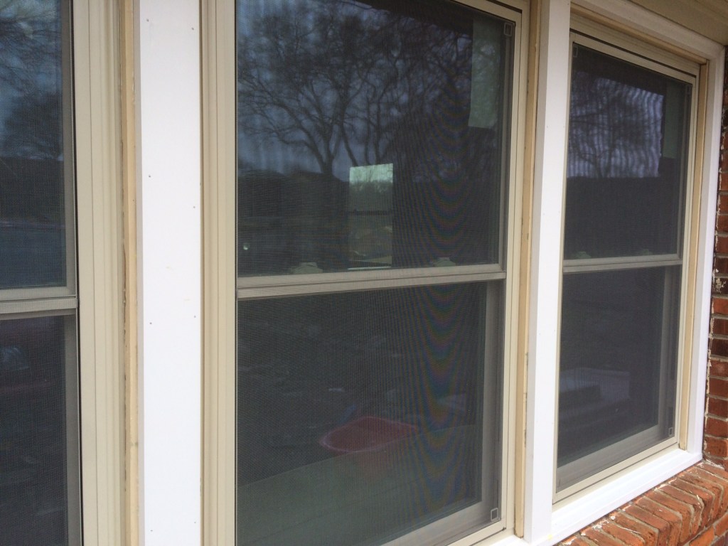 New Windows